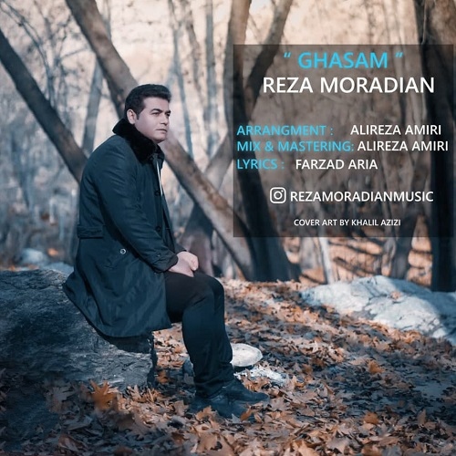 رضا مرادیان قسم